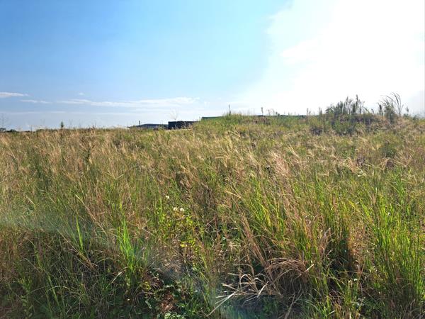 826 m² Land