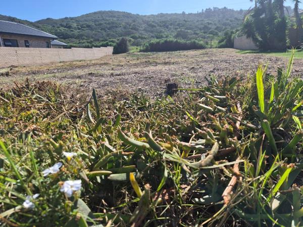 987 m² Land
