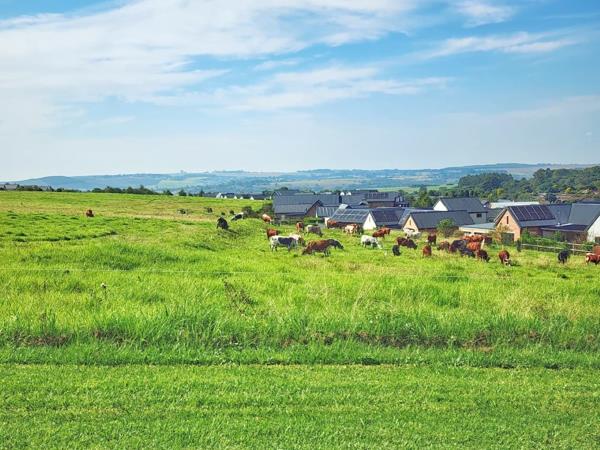 709 m² Land