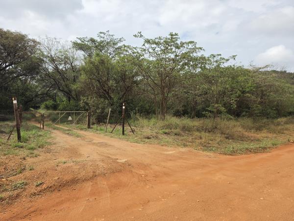 23.3 ha Farm