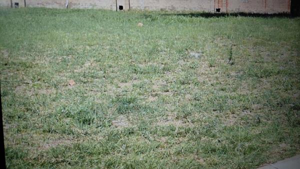 516 m² Land