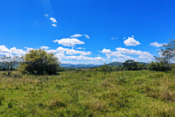 145 ha Farm