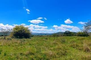 145 ha Farm