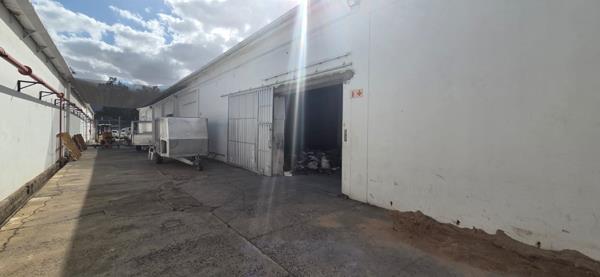 320 m² Industrial space