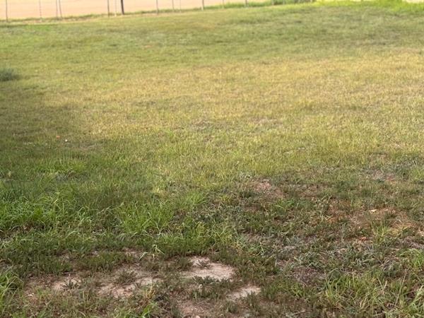542 m² Land