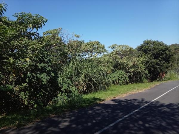 1 350 m² Land