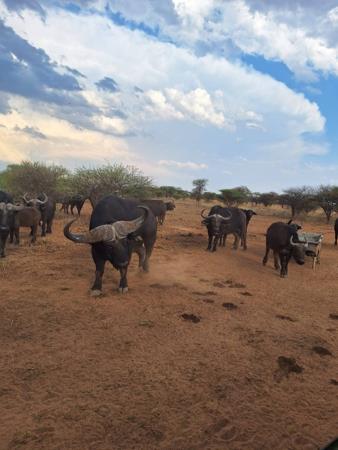1 047 ha Farm