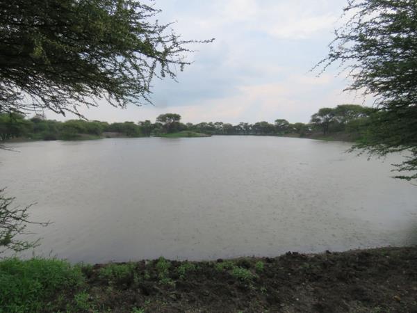 1 047 ha Farm