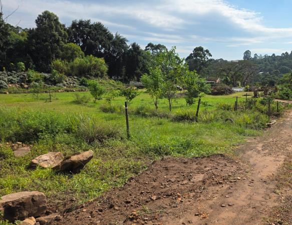 917 m² Land