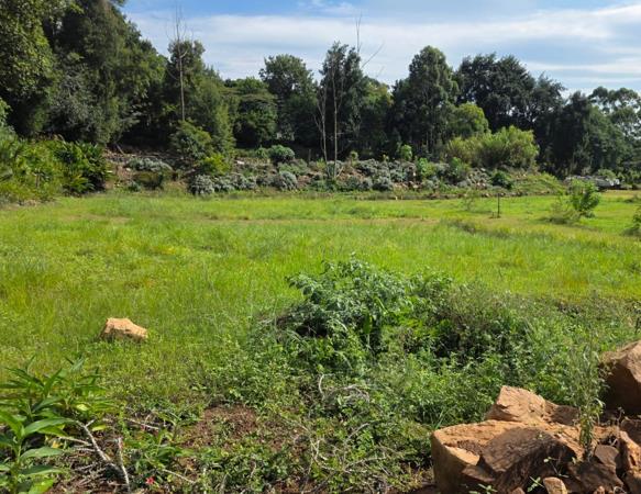 861 m² Land