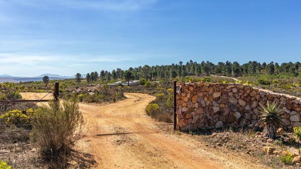 98.5 ha Farm