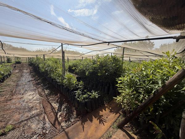 50 m² Industrial space