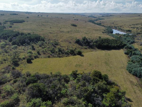 254 ha Farm