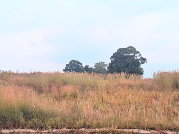 6 997 m² Land