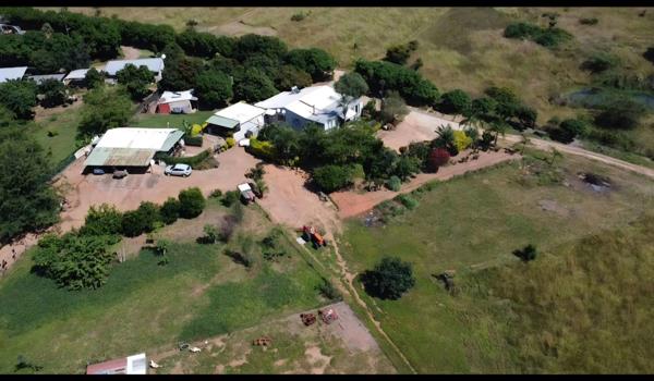 4.4 ha Smallholding