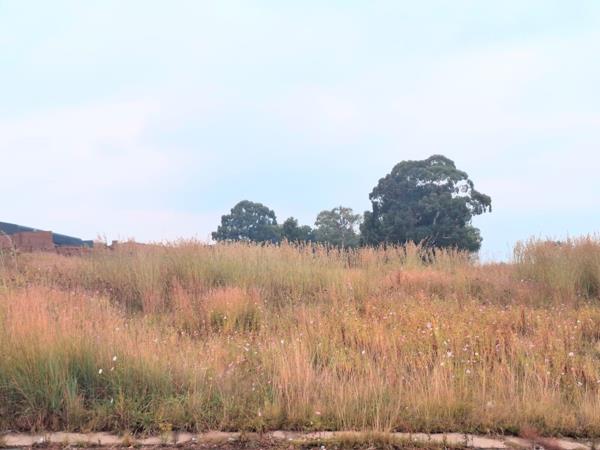 4 920 m² Land