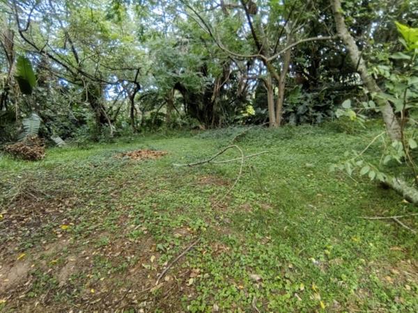 1 259 m² Land