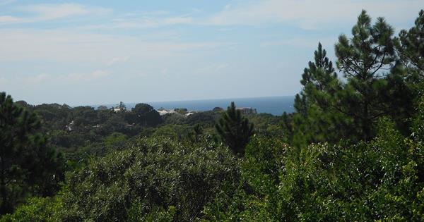 2 267 m² Land