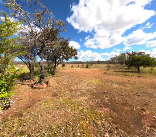 21 ha Farm