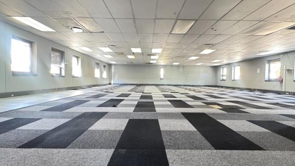 230 m² Office Space