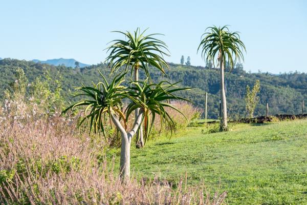 1 639 m² Land