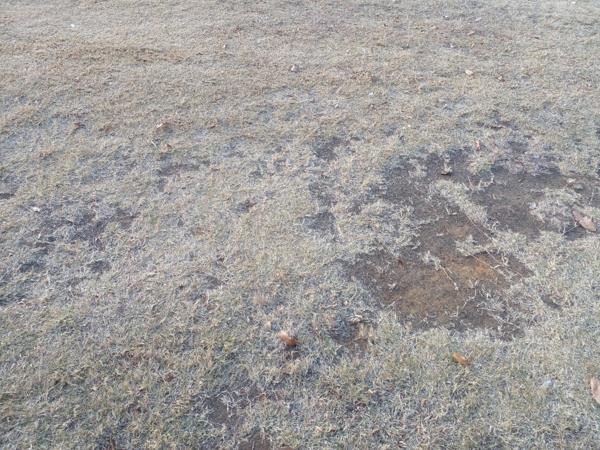 1 204 m² Land