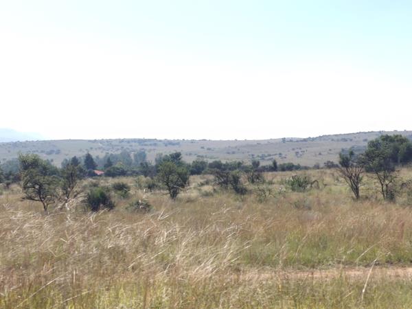 25 ha Farm