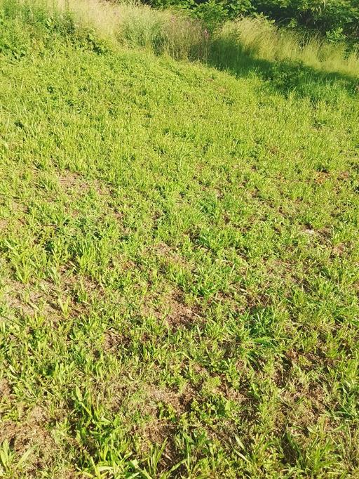 642 m² Land