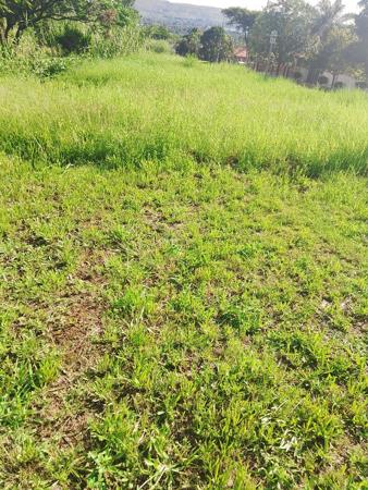 642 m² Land