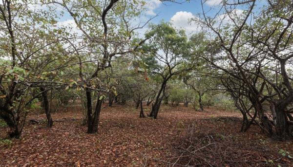 1 680 m² Land
