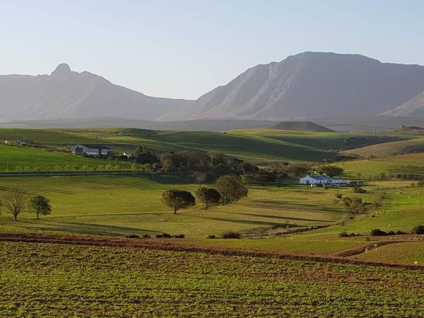 539 ha Farm