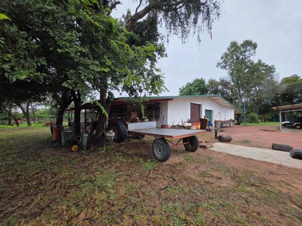 5.1 ha Smallholding