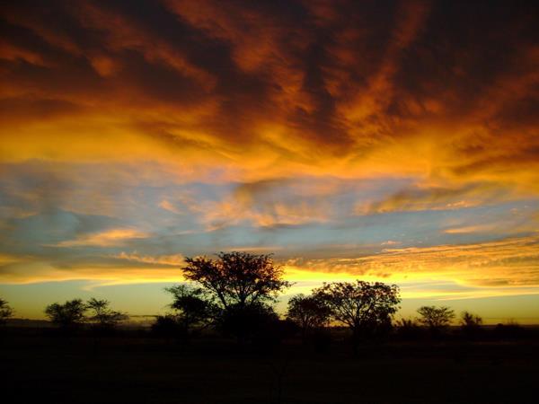 23.4 ha Smallholding