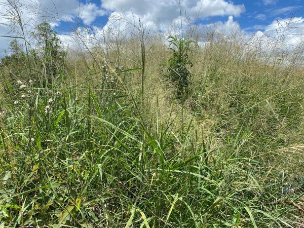 1 126 m² Land