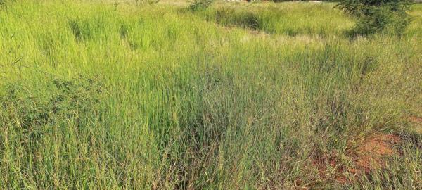 1 200 m² Land