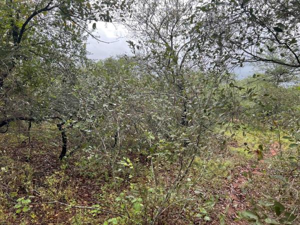 1 700 m² Land