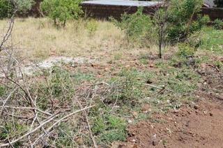 324 m² Land