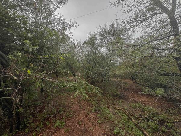 2 300 m² Land