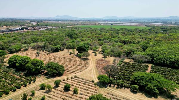 94.2 ha Farm