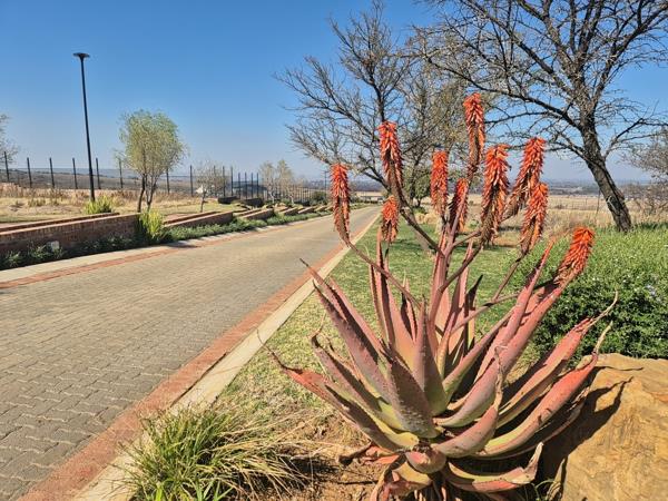320 m² Land
