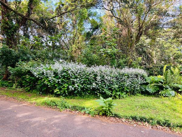 1 824 m² Land