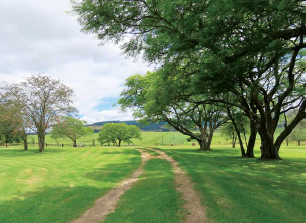868.7 ha Farm