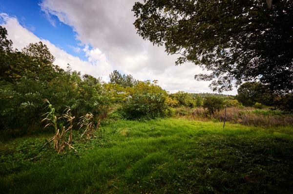 1.9 ha Smallholding