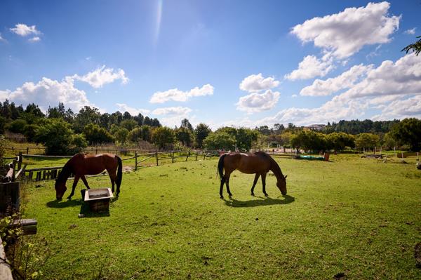 4.7 ha Smallholding