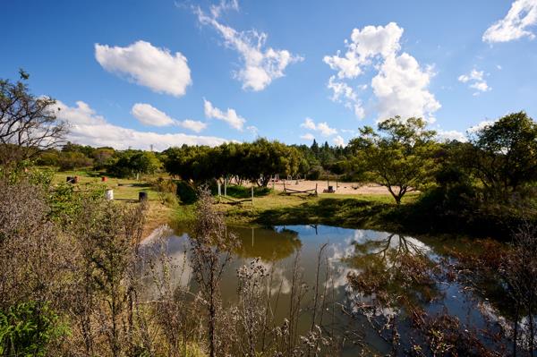 4.7 ha Smallholding