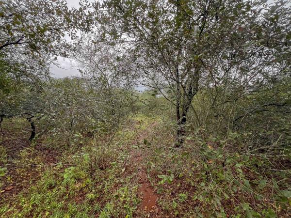1 950 m² Land