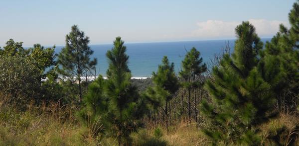 2 920 m² Land