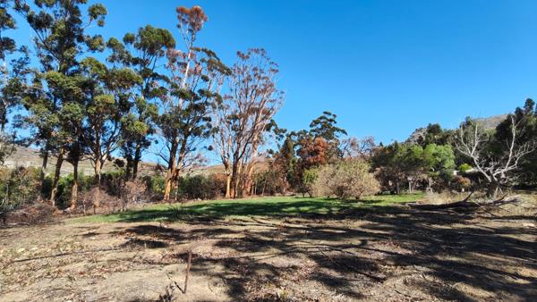 2.5 ha Smallholding