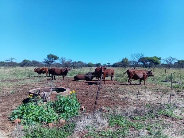 327 ha Farm