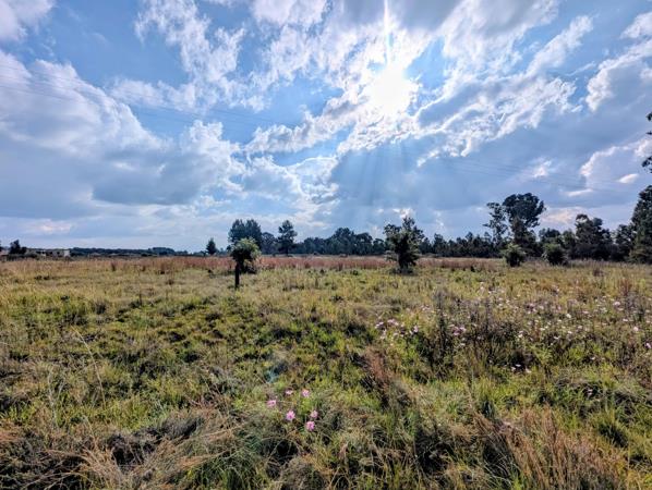1.1 ha Land